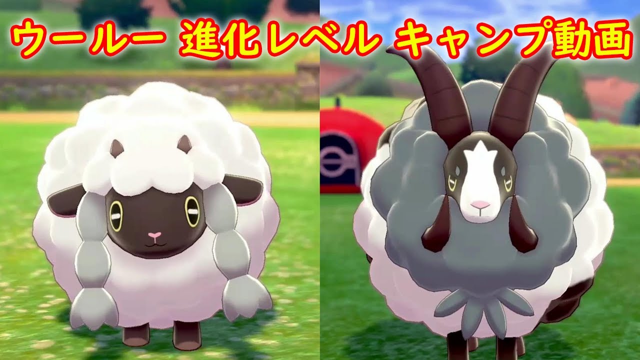 【ウールー → バイウールー】進化レベル 攻略 + キャンプで遊ぶ【ポケモン ソード シールド ポケモン剣盾】