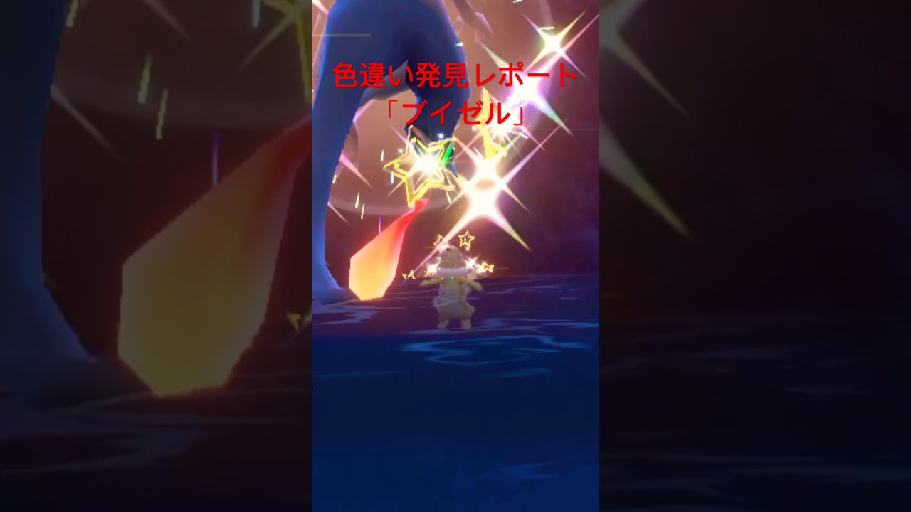 ポケモンSV色違い発見レポート「ブイゼル」