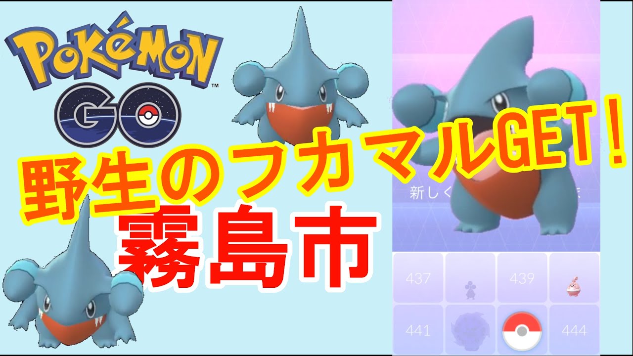 【ポケモンGO】野生のフカマルGET!