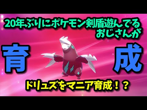 【ポケモン育成紹介】『色違い』ドリュウズ1分プチ育成 初心者さん向けサクッと作れる【ポケットモンスターソード・シールド/剣盾】