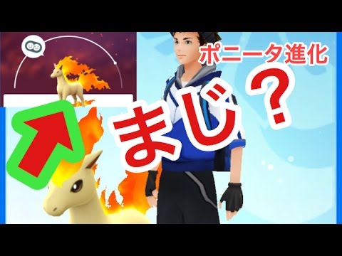 ポケモンGO無強化ポニータ進化シーン 脅威のギャロップなるか？