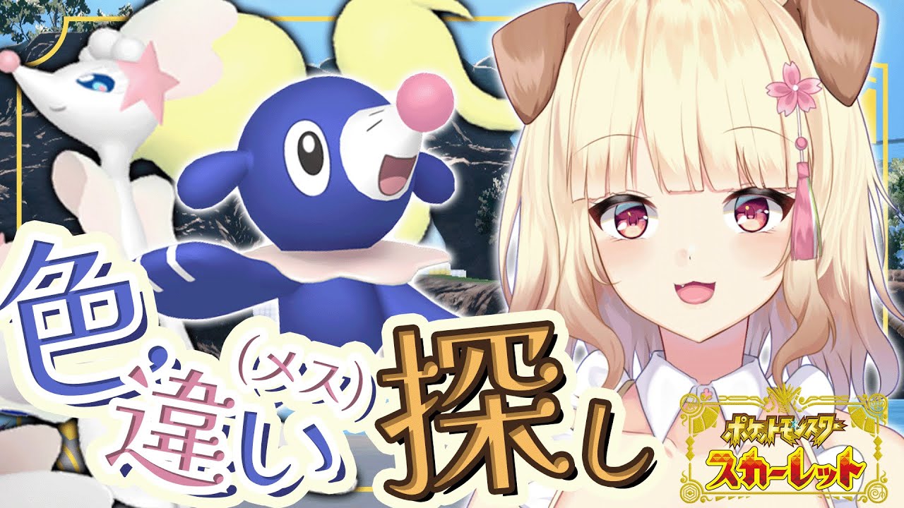 【ポケモンSV】激レア！アシマリの色違いのメスを捕まえてアシレーヌにしたいんだ！！【藍の円盤】