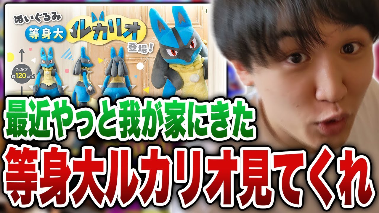 最近届いた等身大ルカリオをウッキウキで紹介するライバロリ【ライバロリ切り抜き】
