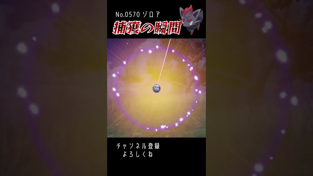 【バイオレット】ゾロア 捕獲の瞬間 #shorts