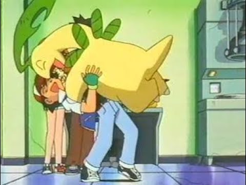 ベイリーフが可愛すぎる！