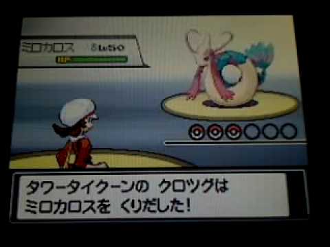 銀クロツグvsピジョン達