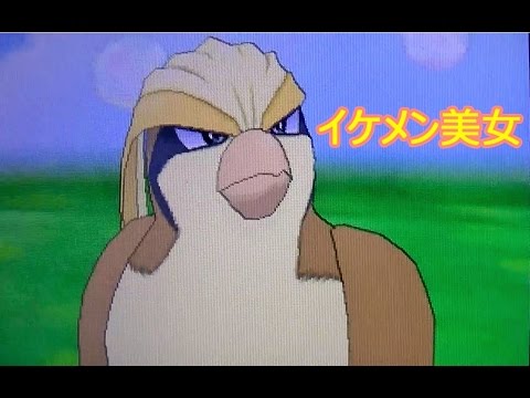 [ポケモン]  国際孵化　鳥地獄！色違いポッポ編　[ORAS]