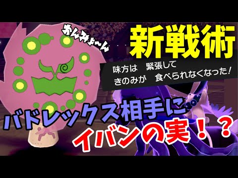 【ミカルゲ】バドレックス相手にイバンの実！？緊張感を利用した新戦術！【ポケモン剣盾】【ゆっくり実況】