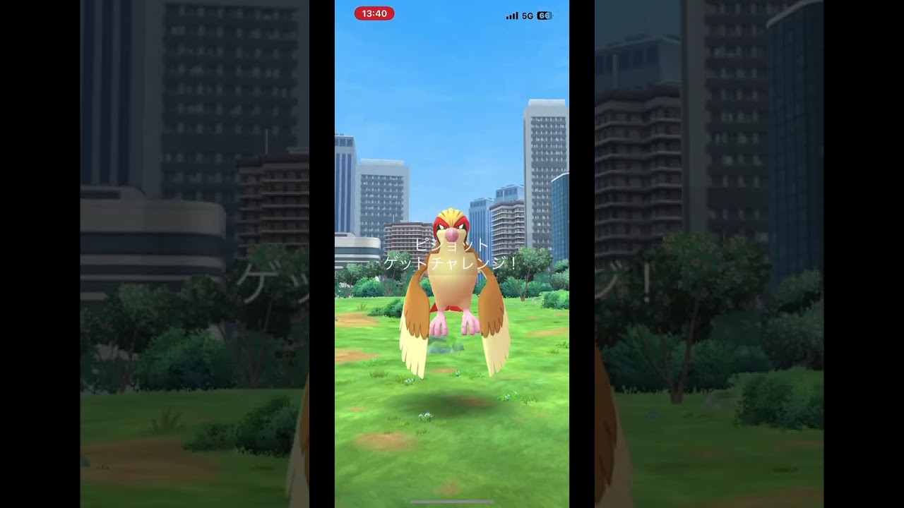 ポケモンGO(メガピジョット)星４レイドに挑戦#shorts #ポケモン