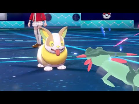 かちかちワンパチ。