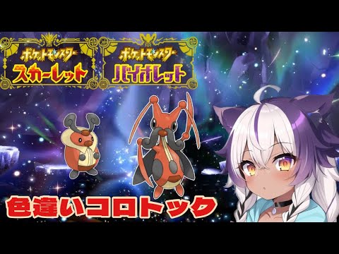 【ポケモンSV】色違いコロボーシ → コロトック【ポケットモンスタースカーレットバイオレット】