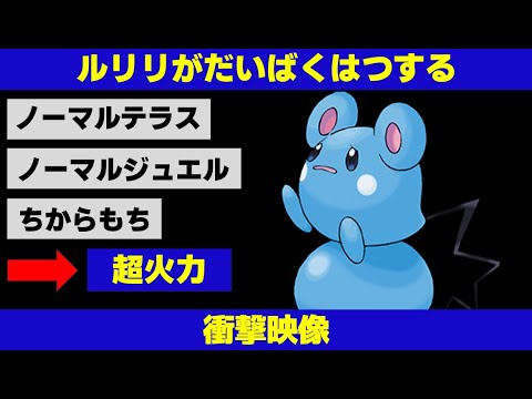 【面白ギミックPart210】ルリリがだいばくはつする衝撃映像【ポケモンSV】