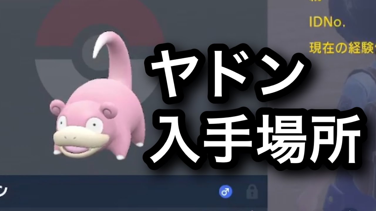 【SV】【速報】ヤドン入手場所