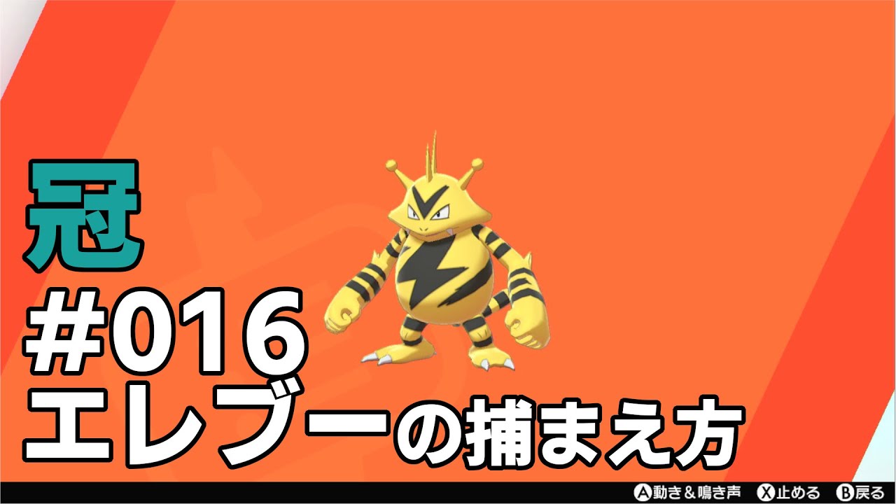 エレブーを探している方に見てほしい動画