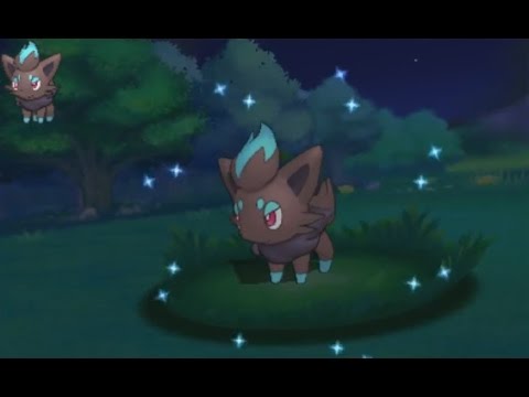 3DS【ポケモン ORAS】 shiny Zorua 色違い ゾロア 色違 索羅亞