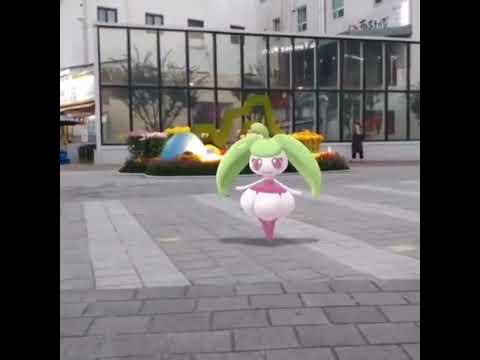 달무리나 ( Steenee ) アママイコ ( 甜舞妮 )