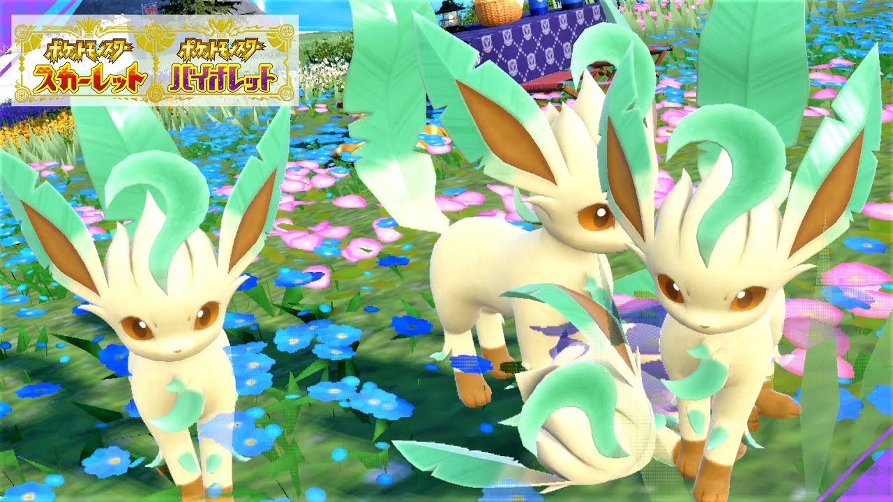 【可愛い】リーフィア６匹に囲まれて癒されピクニック【ポケモンSV】