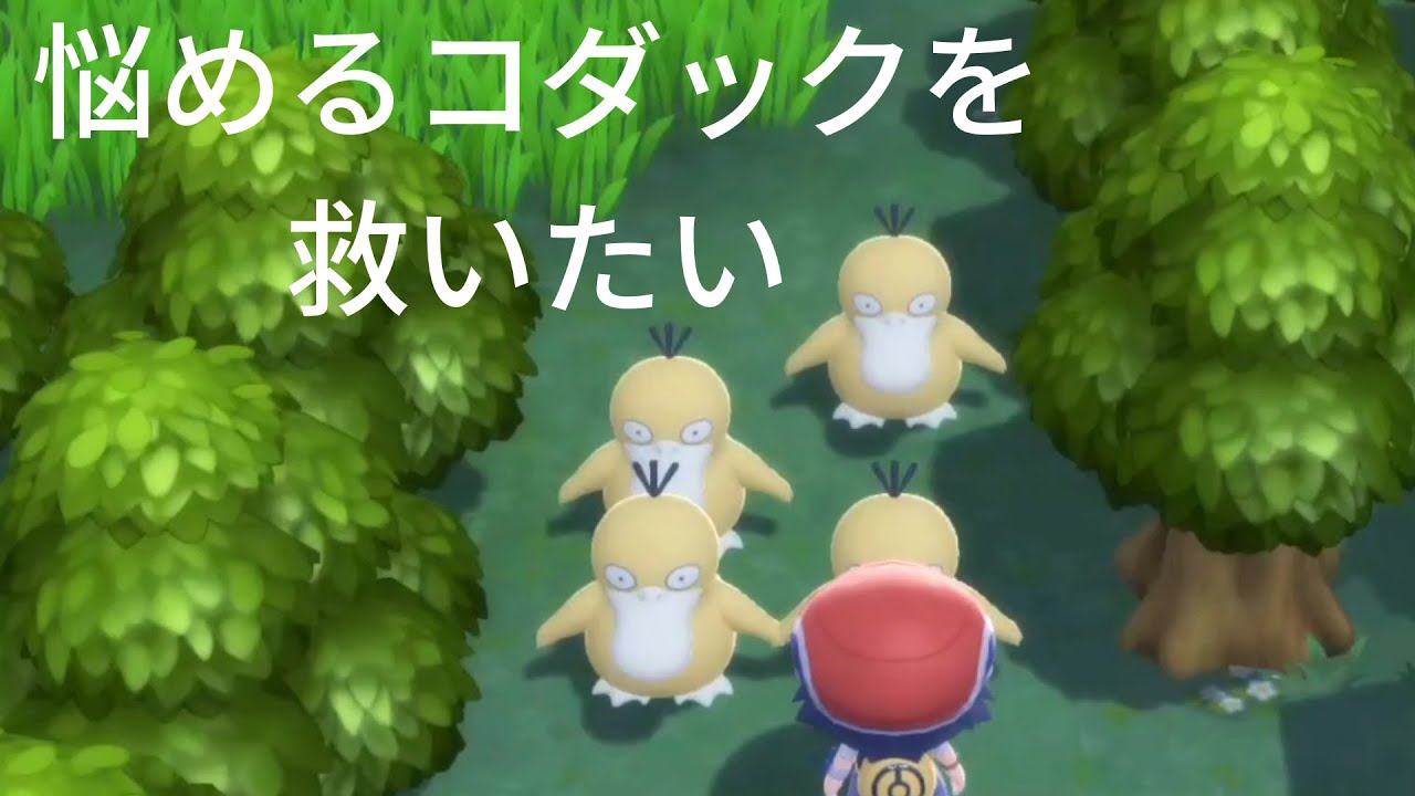 【ポケモンBDSP】ひでんのくすりを入手して、コダックを助けにいこう！