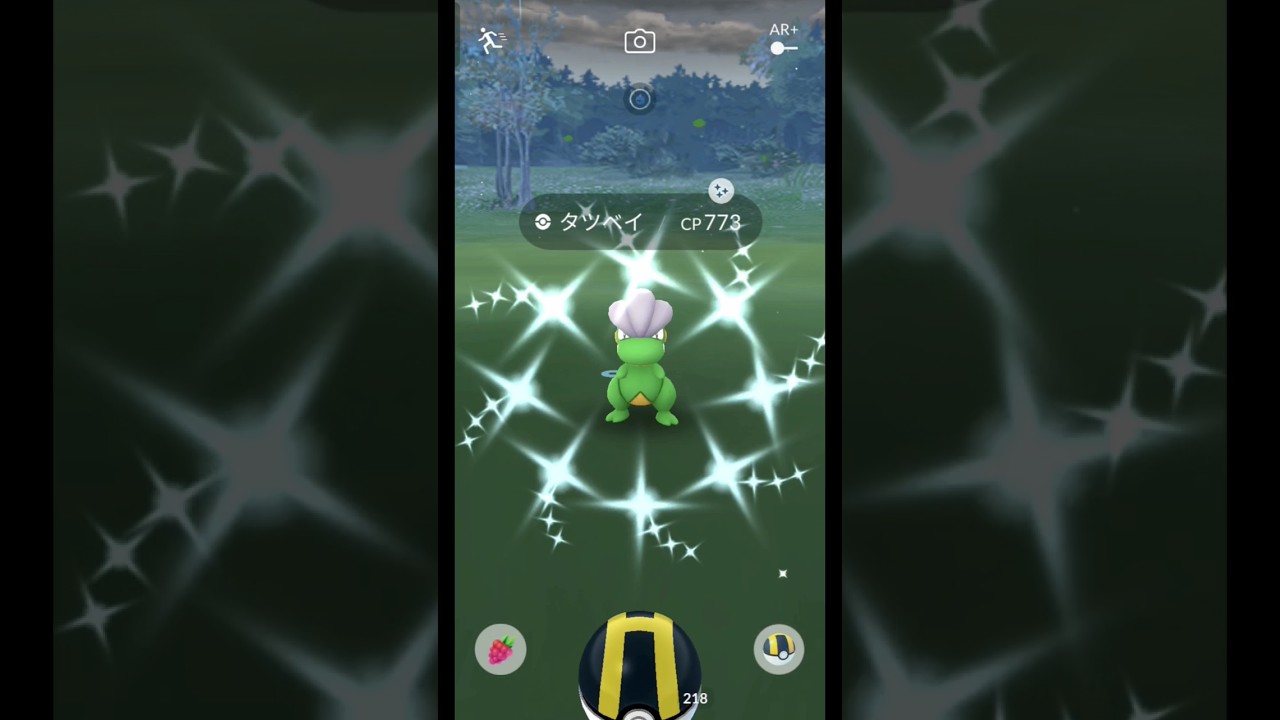 タツベイコミュニティデイ復刻#ポケモンgo #pokemon #コミュニティデイ