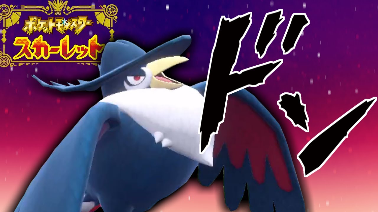 ドドンド ドドンガ ドンカラス【ポケモンSV】