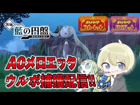 【ポケモンSV】メロエッタ捕獲イベント！ウルボA0メロエッタ耐久配信！概要欄にA0厳選用育成論記載【藍の円盤】