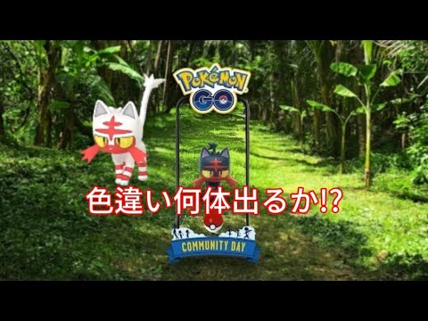 【ポケモンGO】ニャビーのコミュニティデイ!1時間程度やったら色違い何体出てくるか!