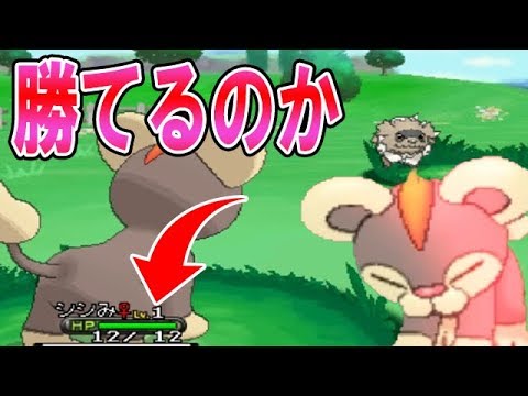 【ポケモンY】シシコだけでストーリー攻略する超鬼畜縛りPart2【実況プレイ】 拡散のため評価👍お願いします！