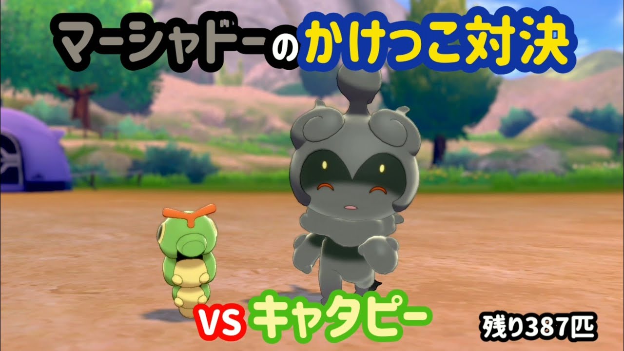 VSキャタピー ガラル図鑑No.13 【マーシャドーのかけっこ対決】