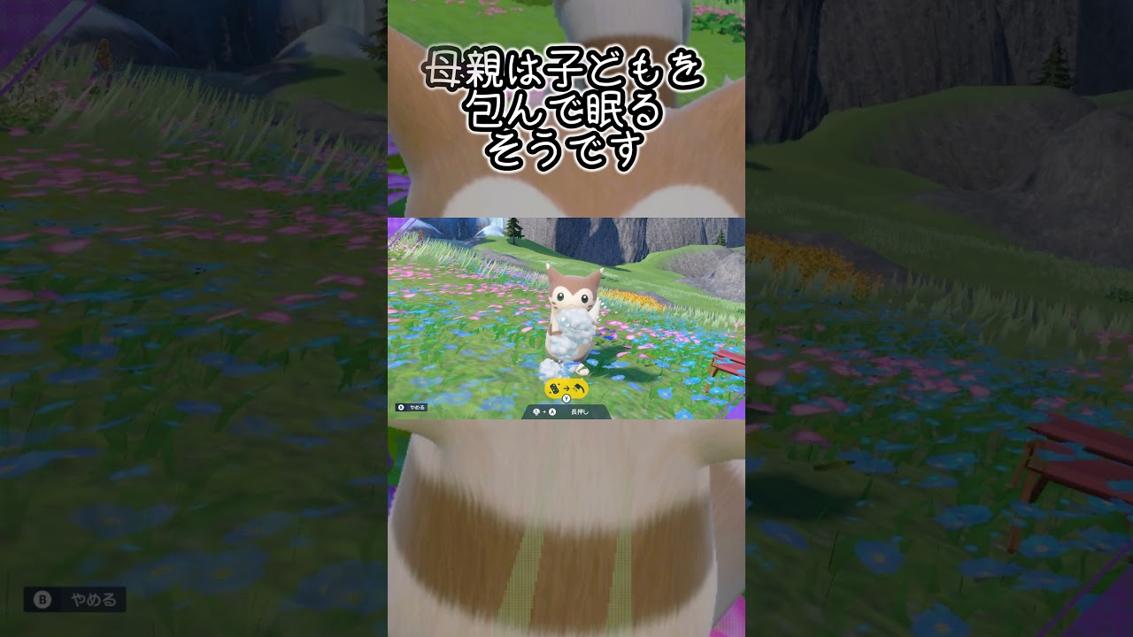 【疲れた人向け】オオタチ6匹とピクニック【ポケモンSV】#Shorts