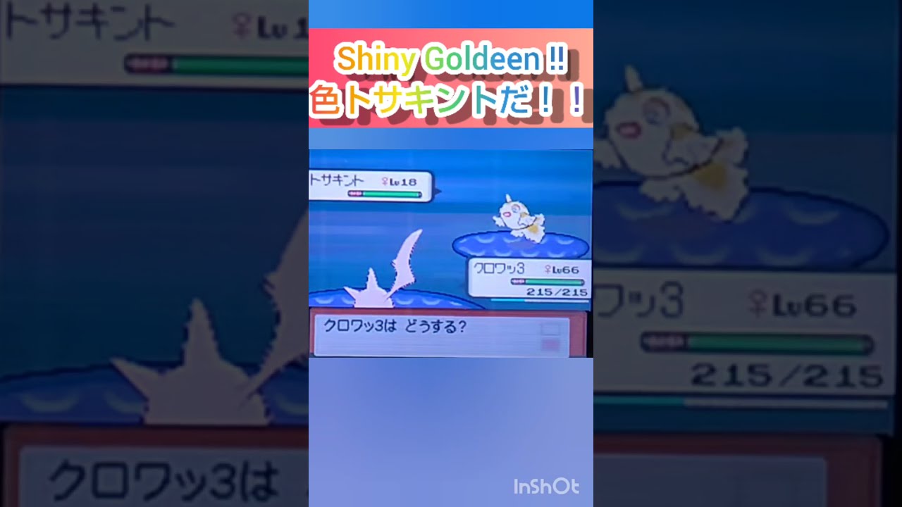 【ポケモンDP】色違い捕獲日記　48日目　トサキント　【PokémonDP】The diary Capturing shiny Pokémon's　Day48　Goldeen　#shorts
