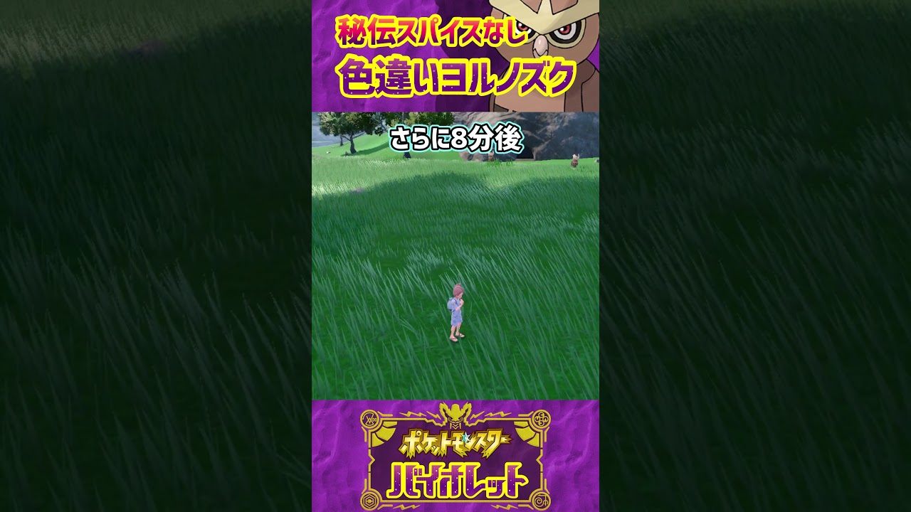 【ポケモンSV】秘伝スパイスなしでヨルノズクの色違いをゲットするだけの動画 #Shorts