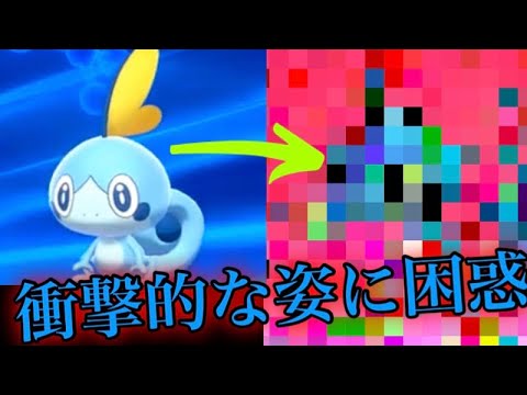 メッソンの進化した姿に涙が止まらない.....【ポケットモンスターソード】