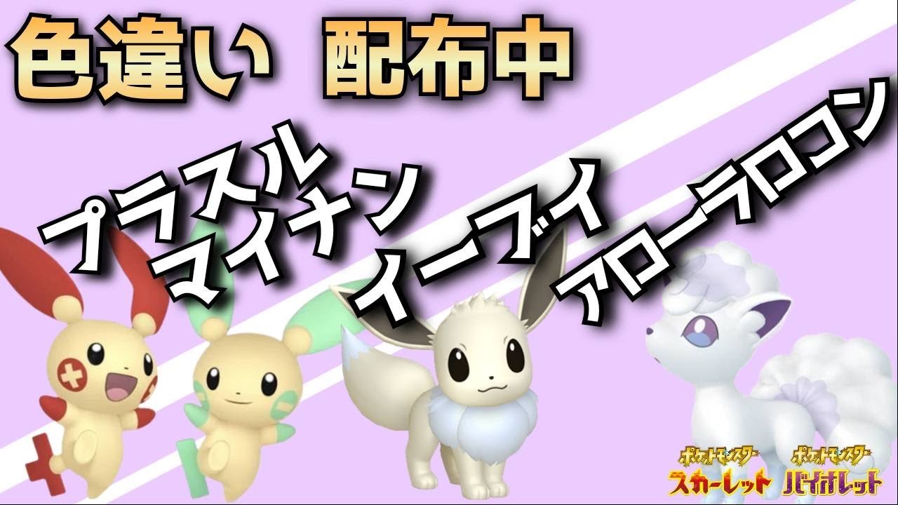 【ポケモンsv】イロチマイナン・プラスル・イーブイ・アロコン配布会！【初見さん歓迎！】