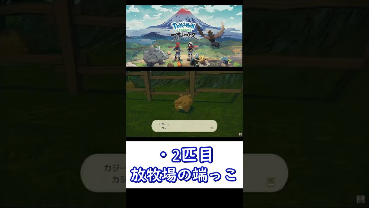 ビッパを探すサブ任務を簡単紹介　【ポケモンレジェンズアルセウス】#Short　#ポケモン　#レジェンズアルセウス