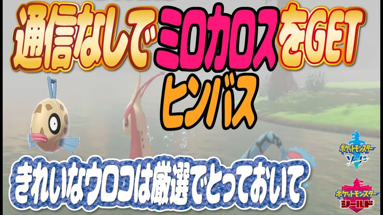 【ポケモン剣盾】ミロカロス・ヒンバスを通信なしできれいなウロコ消費せずにGETする方法！図鑑埋め編【ポケットモンスターシールド】