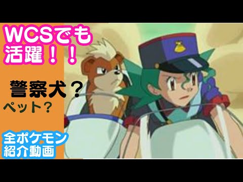 【ゆっくり解説】全ポケモン紹介 #24 (ポケモン図鑑 058,059) ガーディ ウインディ