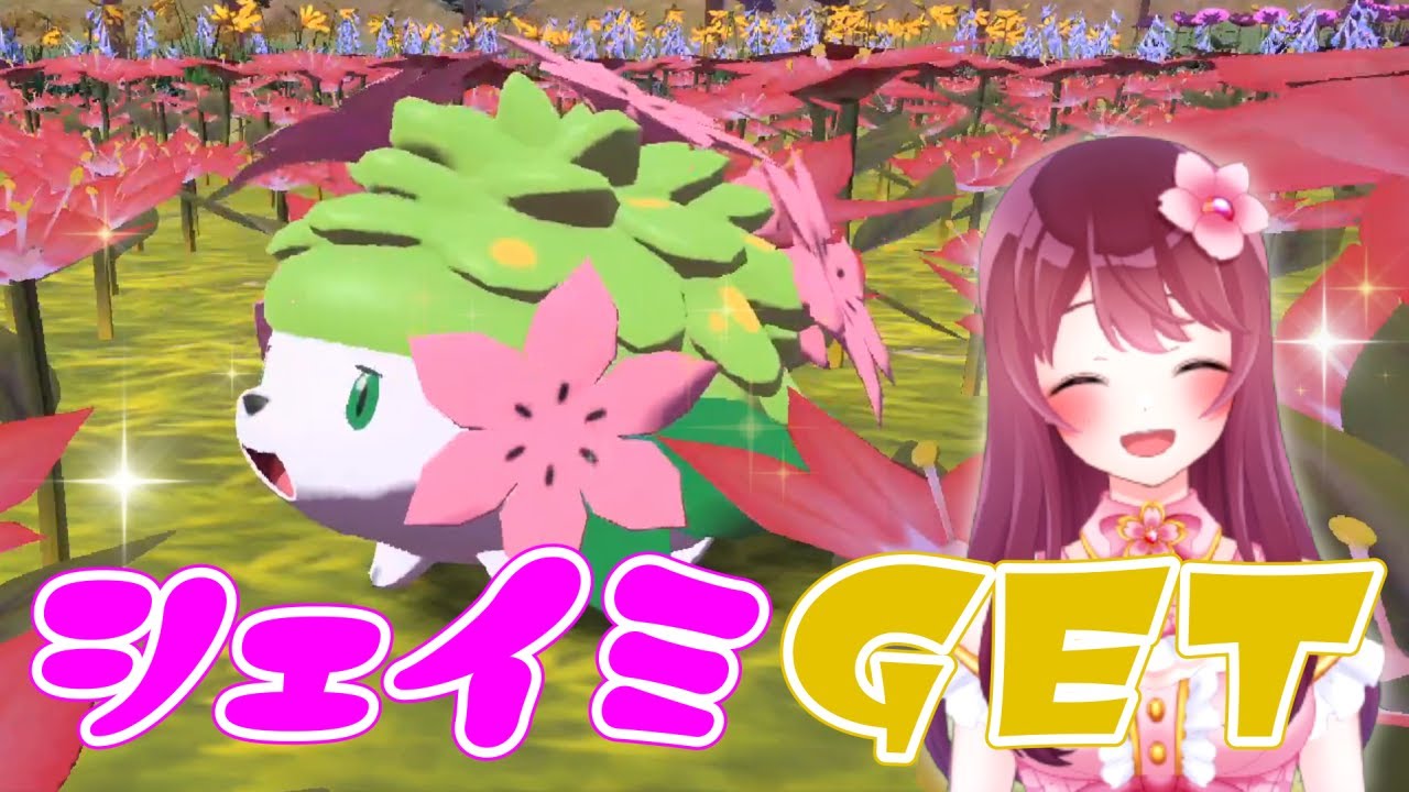 20秒で分かる!シェイミGETのしかた【 ポケモンレジェンズアルセウス 】#shorts