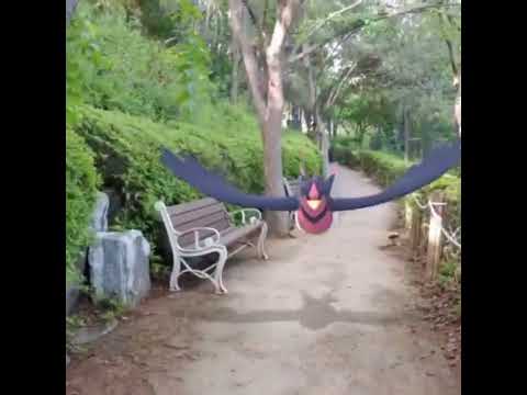 스왈로 ( Swellow ) オオスバメ ( 大王燕 )