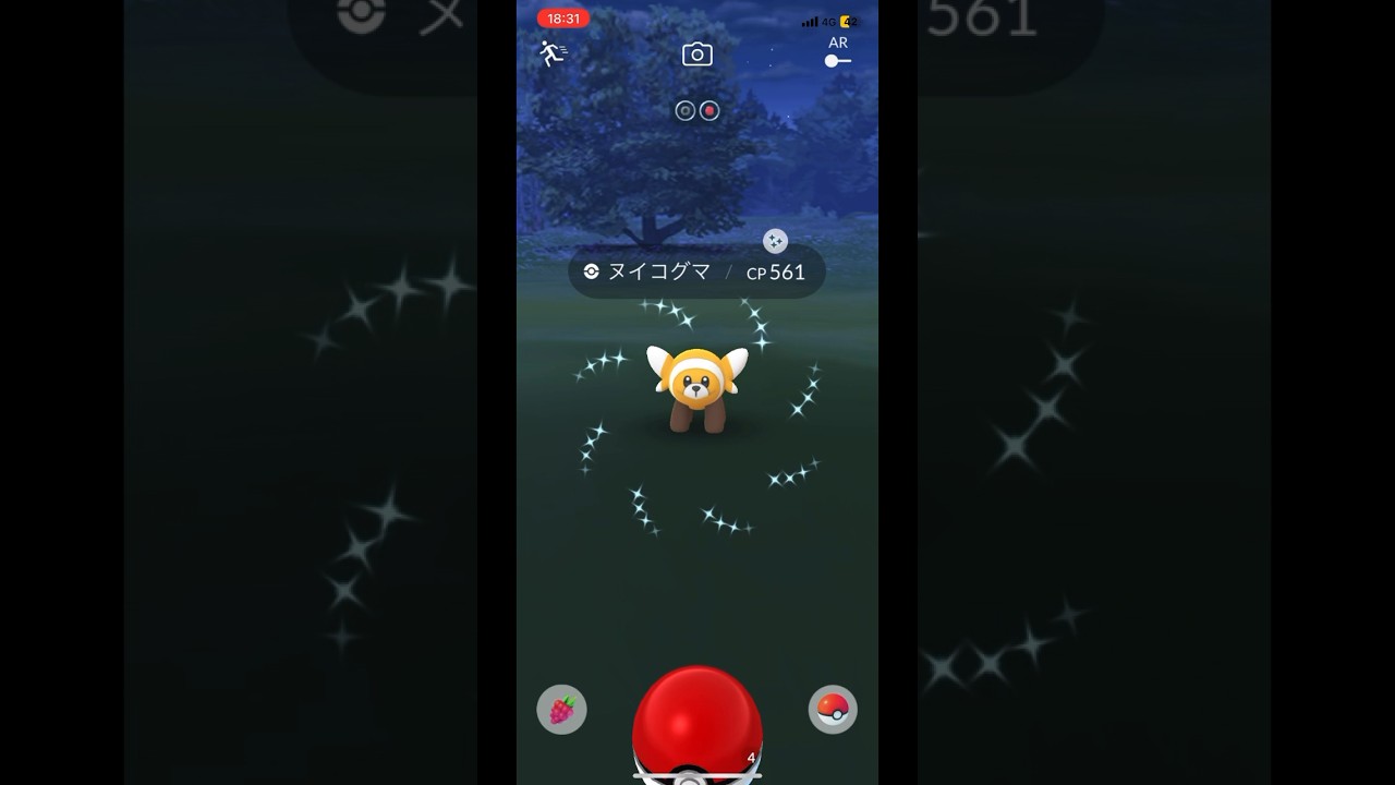 色違いヌイコグマ🐻 #shorts #ポケモンgo