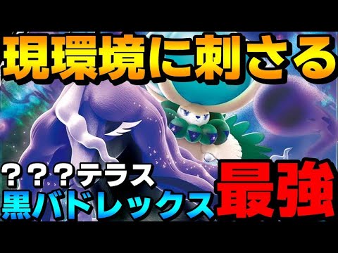 【レンタル有】現環境に刺さる！黒バドレックスの？？？テラスが強すぎて評価急上昇中！【ポケモンSV】