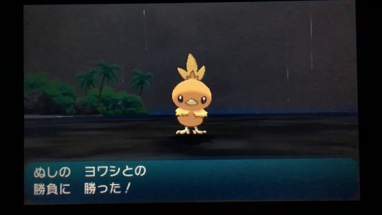 【アチャモ1匹旅】アローラ編#8　ヨワシ戦