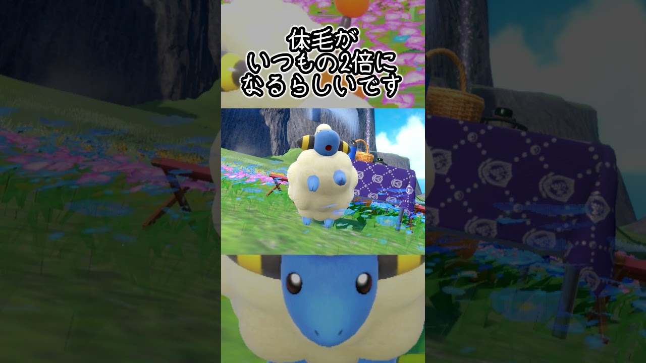 【疲れた人向け】メリープ6匹とピクニック【ポケモンSV】#Shorts