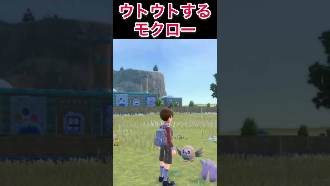 ウトウトしてるモクローが可愛すぎたw #ポケモンsv