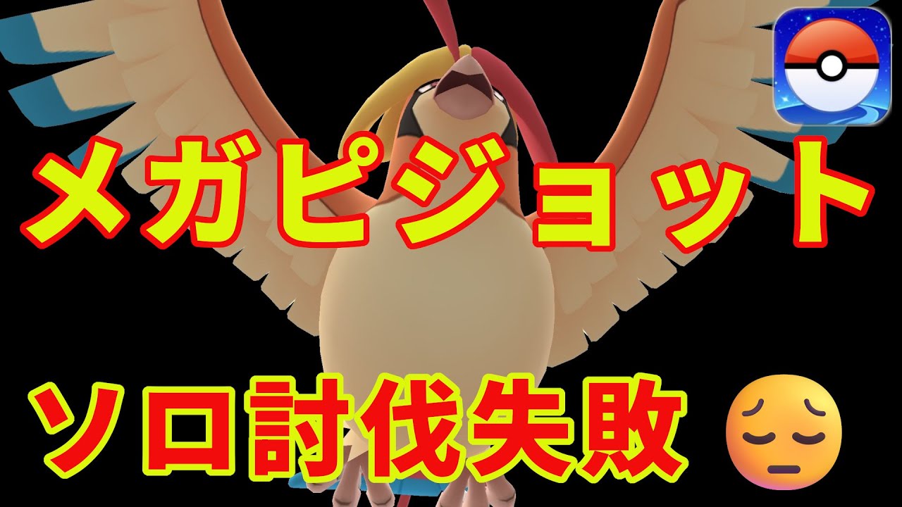 メガピジョットにソロチャレンジ´･ω･`