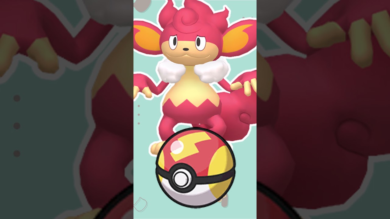 【オシャボ】色違いバオッキーみんなは何ボールに入れる？#shorts #ポケモンsv #ポケモンsv色違い   #pokémon