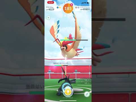 【ポケモンGO】メガピジョット【２人】2020年9月26日