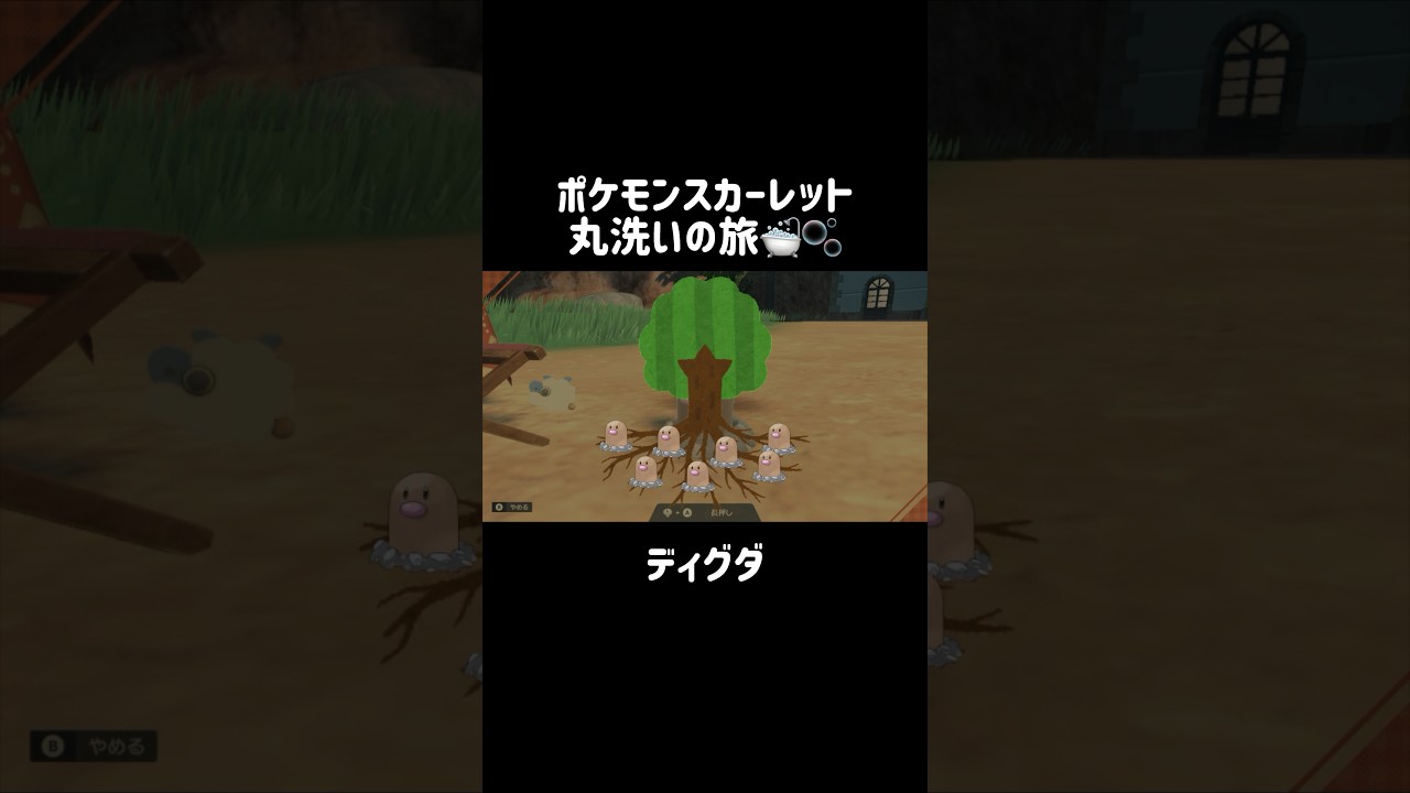 地中に無数にいるらしいディグダを洗うと…？🕳😗 #ディグダ #diglett #ポケモンsv #ポケモンスカーレット #ポケモン #pokemon #shorts
