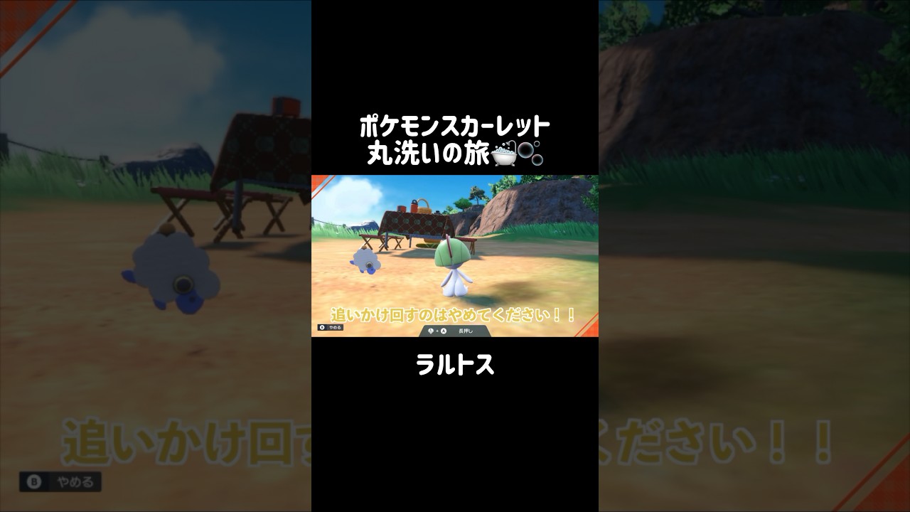 人の心が読めちゃうラルトスを洗うと…？🤍😌 #ラルトス #ralts #ポケモンsv #ポケモンスカーレット #ポケモン #pokemon #shorts