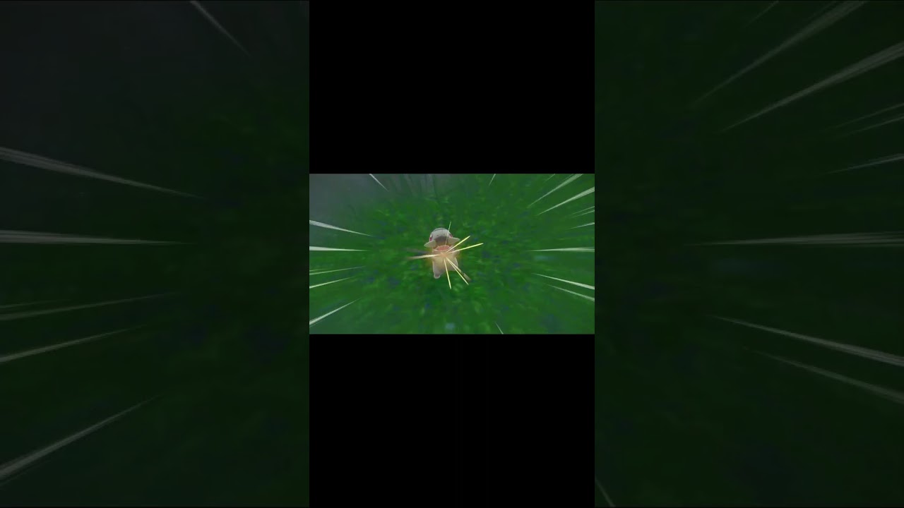 【ポケモンSV】色違いキバゴを探すときはタツベイにご注意ください＃shorts＃ポケモンSV＃色違い