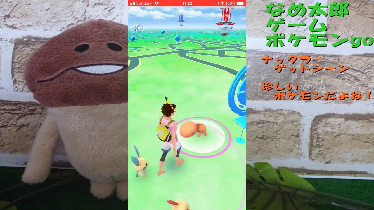 【ポケモンgo】珍しいポケモン「ナックラー」ゲットだぜ！シカゴフェスで発生中